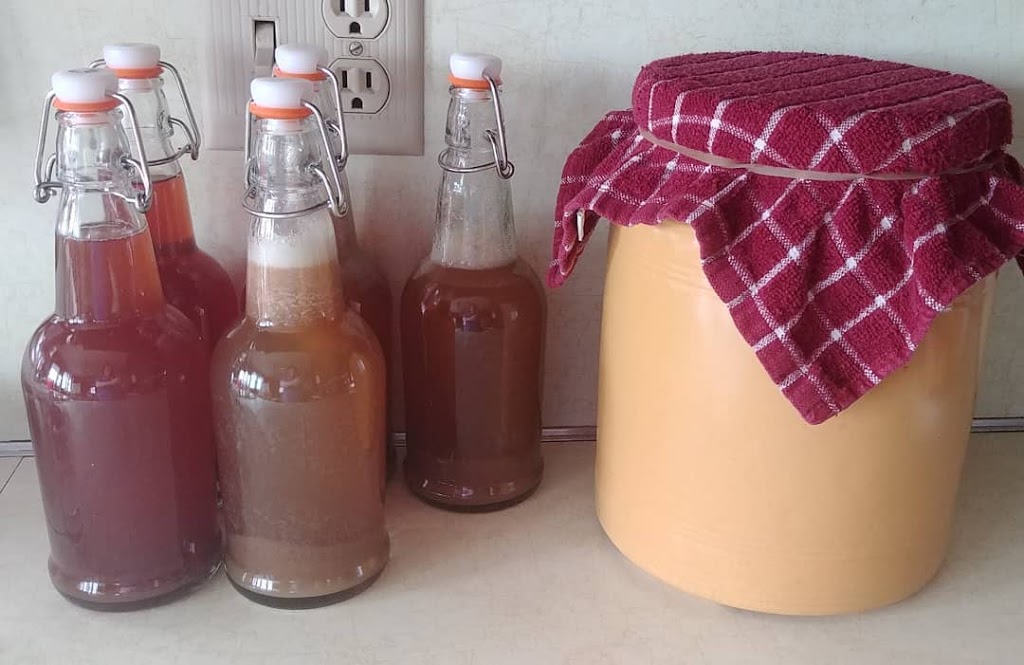 You Asked For It…Installment 1: Making Kombucha